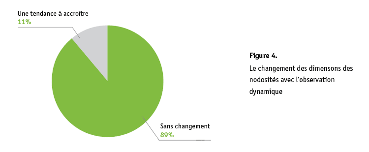 Fig. 4 Le changement des dimensons des nodosités avec l’observation dynamique