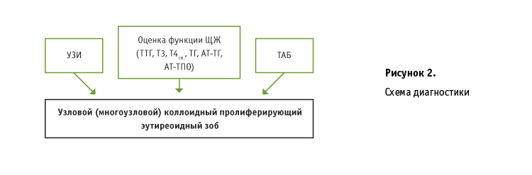 Диагностика при лечении узлового (многоузлового) зоба щитовидной железы препаратом ЭНДОНОРМ
